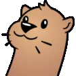 Thumbsup Thumbsup
