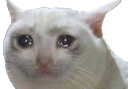 sadcat Discord emoji