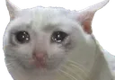 sadcat