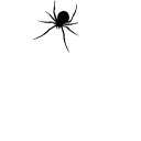 spidar