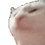 cat_vibe_2