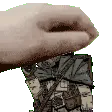 PetDoc