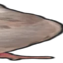 longo_3 longo_3