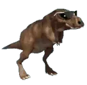 disco_rex