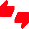 NC_Voting Discord emoji