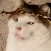 mfw