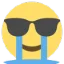 e_swagcry Discord Emoji