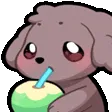 Sip