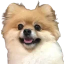 biscuit_happy Discord Emoji