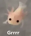 AxoGrrr