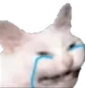 GR_Cat_Cry