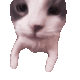 emoji_236