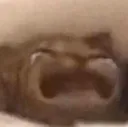 waaa