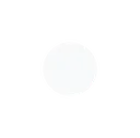 a_whitebulletpoint