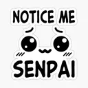 noticemesenpai