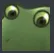 whatfrog whatfrog