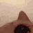 eat