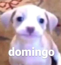 Domingo Discord emoji