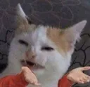 excuseme_wtf_isthis