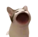 popcat Discord Emoji