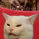 6707catunpleased