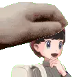 petwes petwes