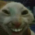 rCatSmile Discord Emoji
