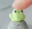 squishfroge