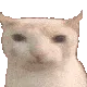 Bruh