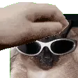 lordreikitcatdobruno