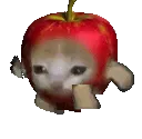 applecat
