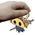 tacopet