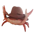 MG_CrabHaw MG_CrabHaw