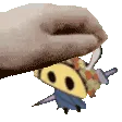 tacopetAAAAA