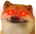 doggo_nanii