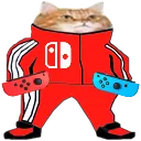 NintendoCat Discord Emoji