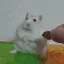 flashbacks