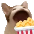 popcorncat