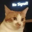no_signal