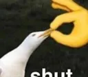 Shut