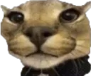 flopexclusive flopexclusive