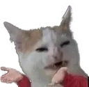 wt