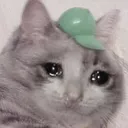 CE_sadcat10 CE_sadcat10