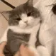 CE_BiteFinger CE_BiteFinger