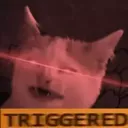 CE_CattoTriggered2 CE_CattoTriggered2