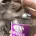 CE_CatnipAddict CE_CatnipAddict