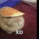 XD