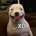 _XD Discord emoji