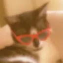 CoolJingles