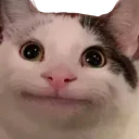 47